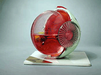 Hanscom Gas Bubble Eye Model